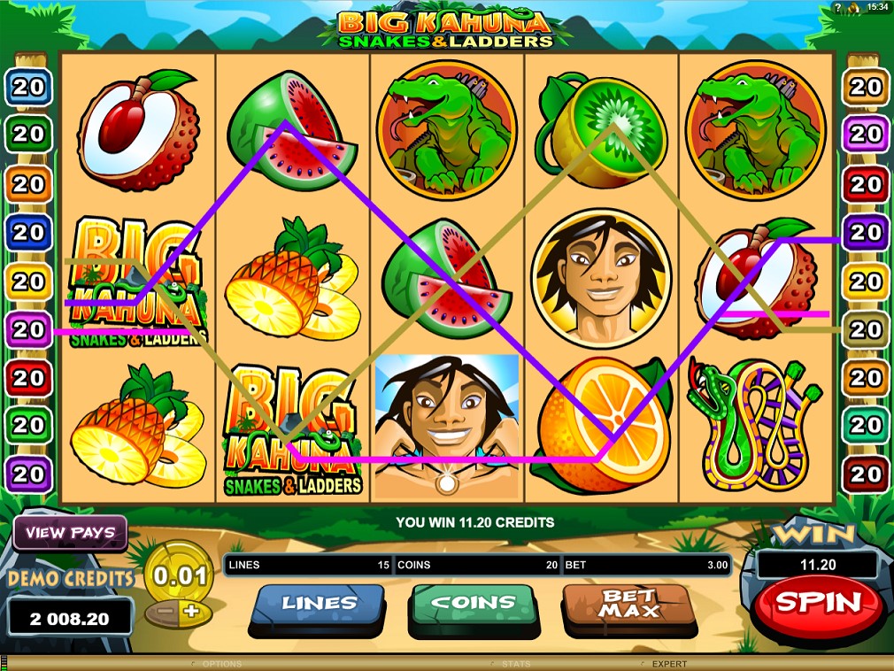 Gameplay of big kahuna snakes and ladders