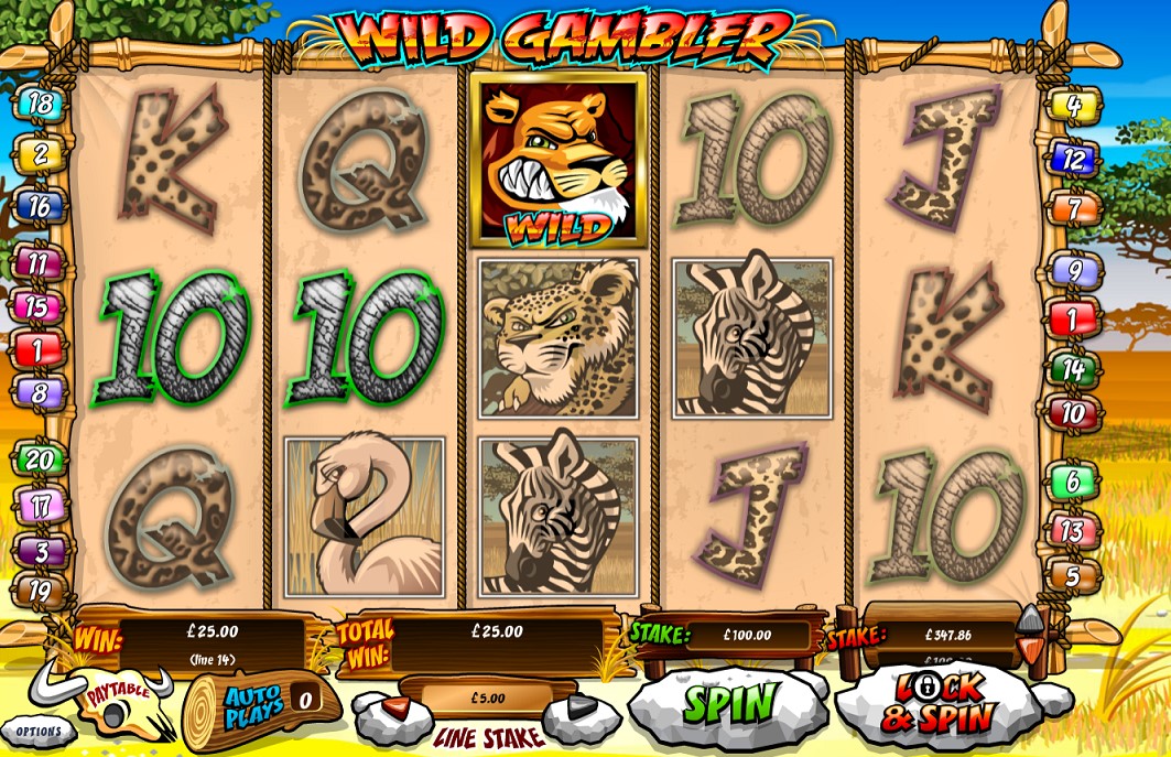 Gameplay of wild gambler