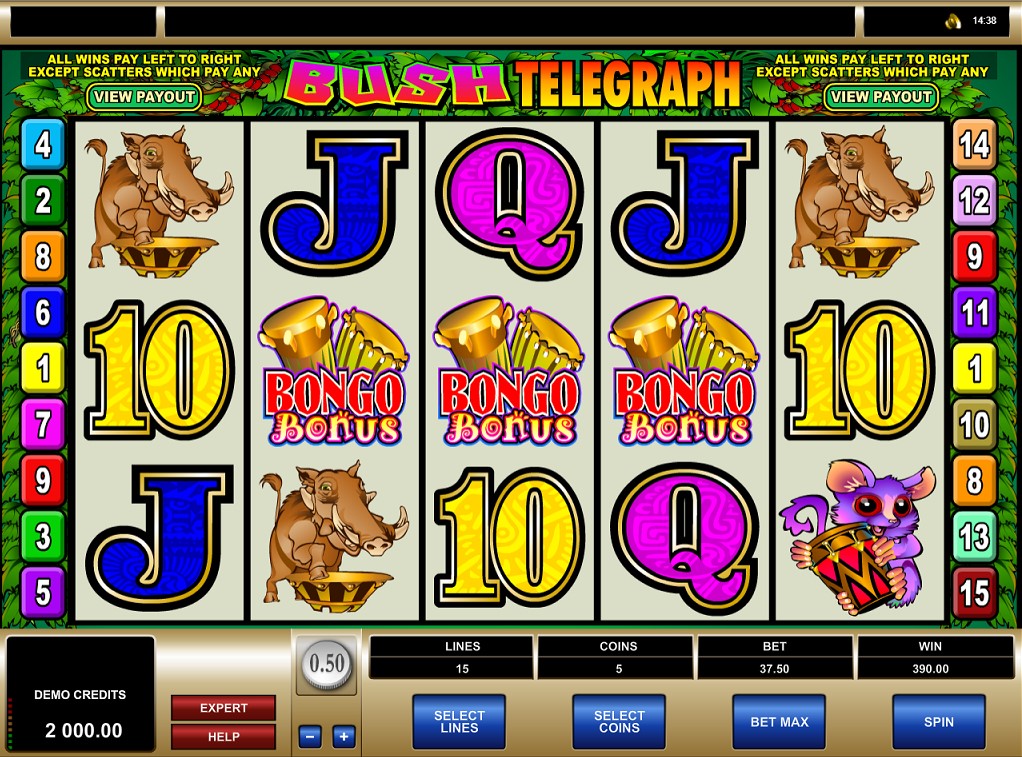 Gameplay of Bush Telegraph