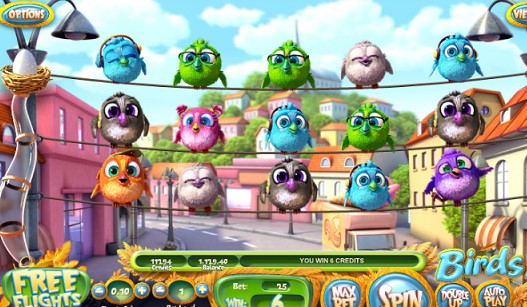 Winning combination of Birdz