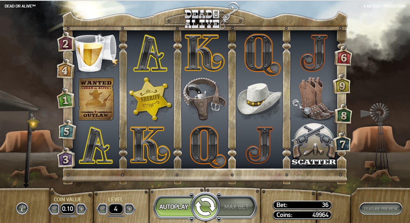 Gameplay of Dead Or Alive