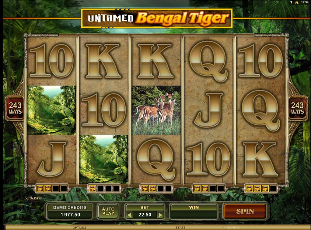 Gameplay of Untamed Bengal Tiger