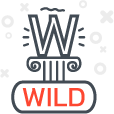 Slot Games with Wild Symbols