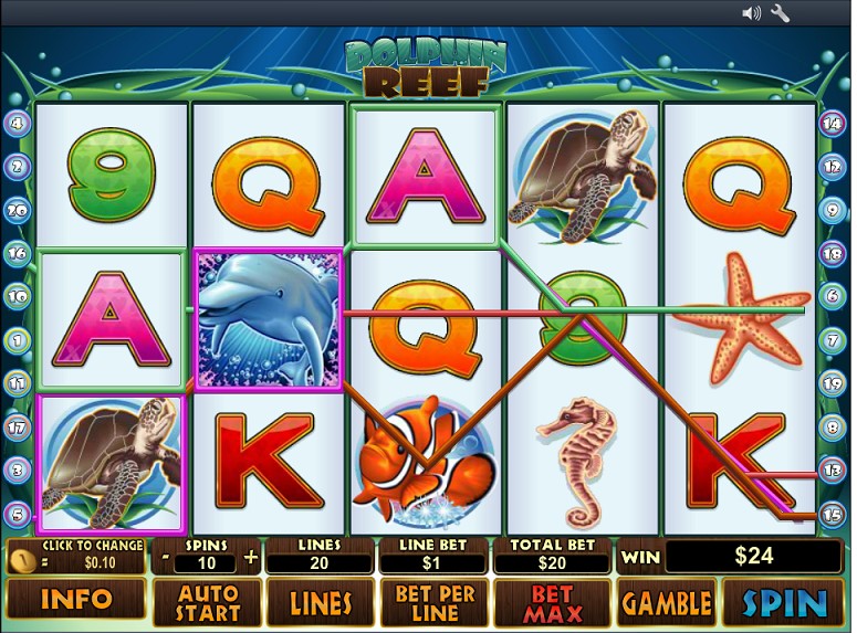 Winning combination of dolphin reef