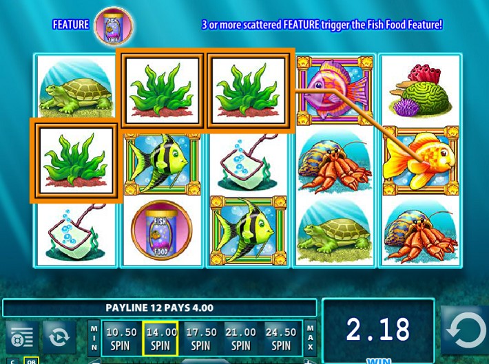 Winning combination of goldfish