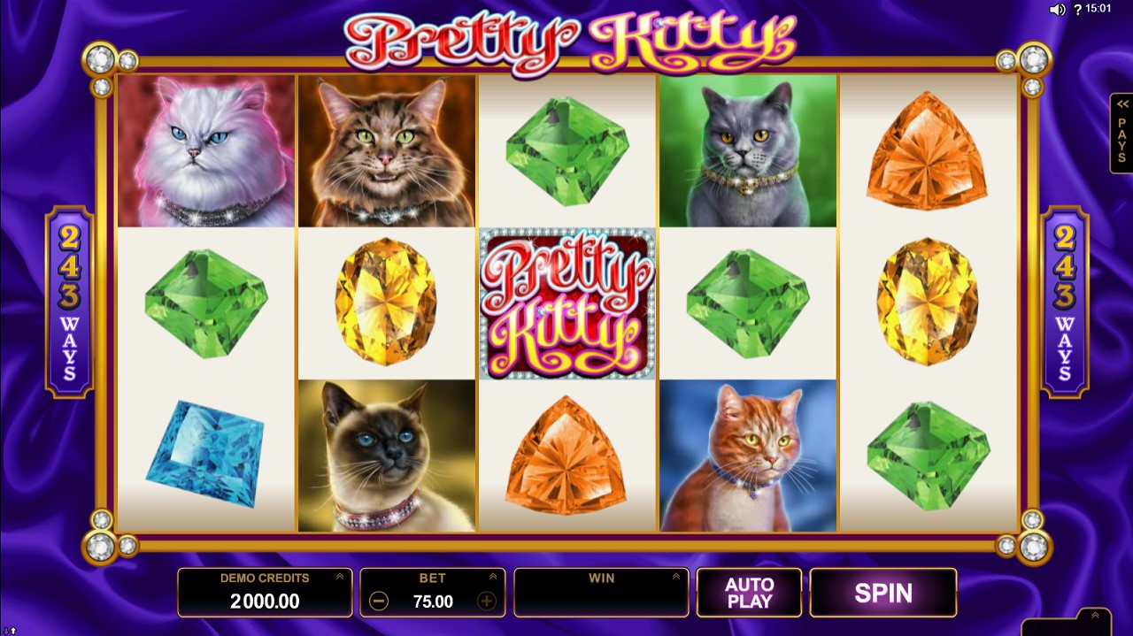 Gameplay of pretty kitty