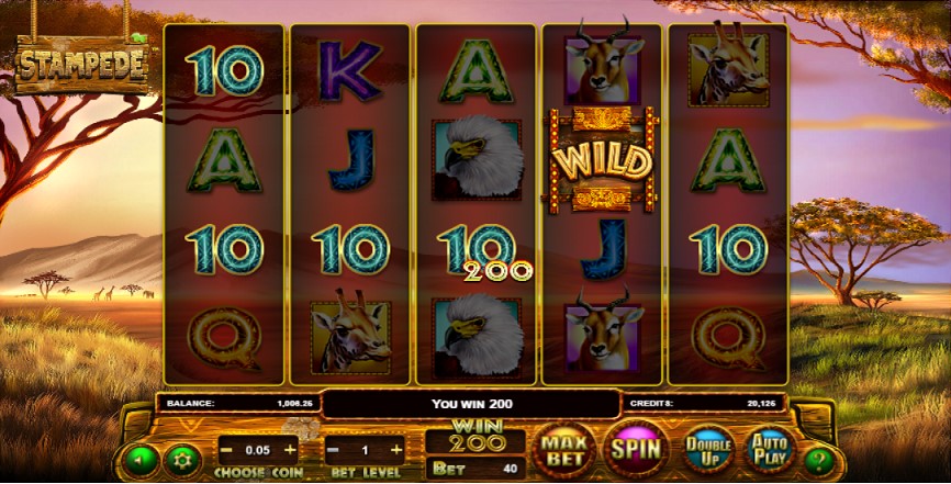 Winning combination of Stampede