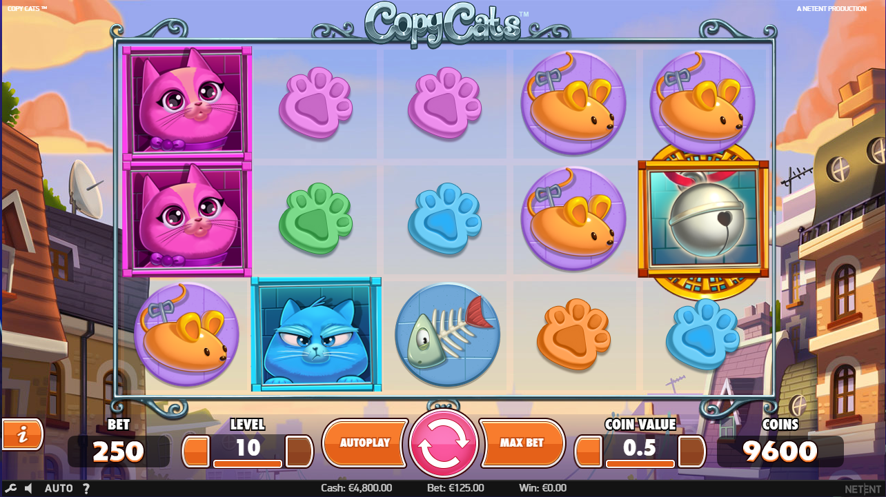 Gameplay of copy cats