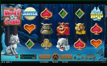 Gameplay of wolf cub