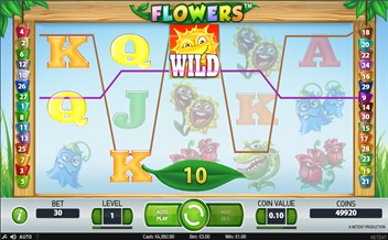Winning combination of Flowers